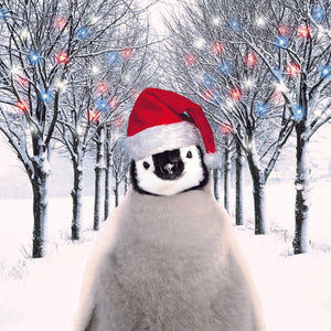 MPS Society festive cards - Christmas Penguin