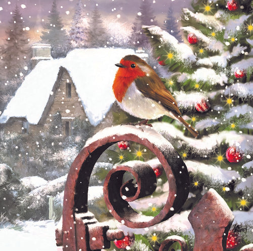 MPS Society festive cards - Christmas Robin