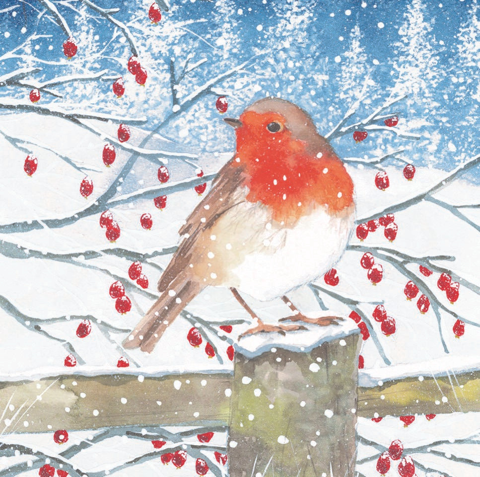 MPS Society festive cards - Winter Post Robin