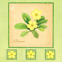 Load image into Gallery viewer, Pansy/Primrose notecards